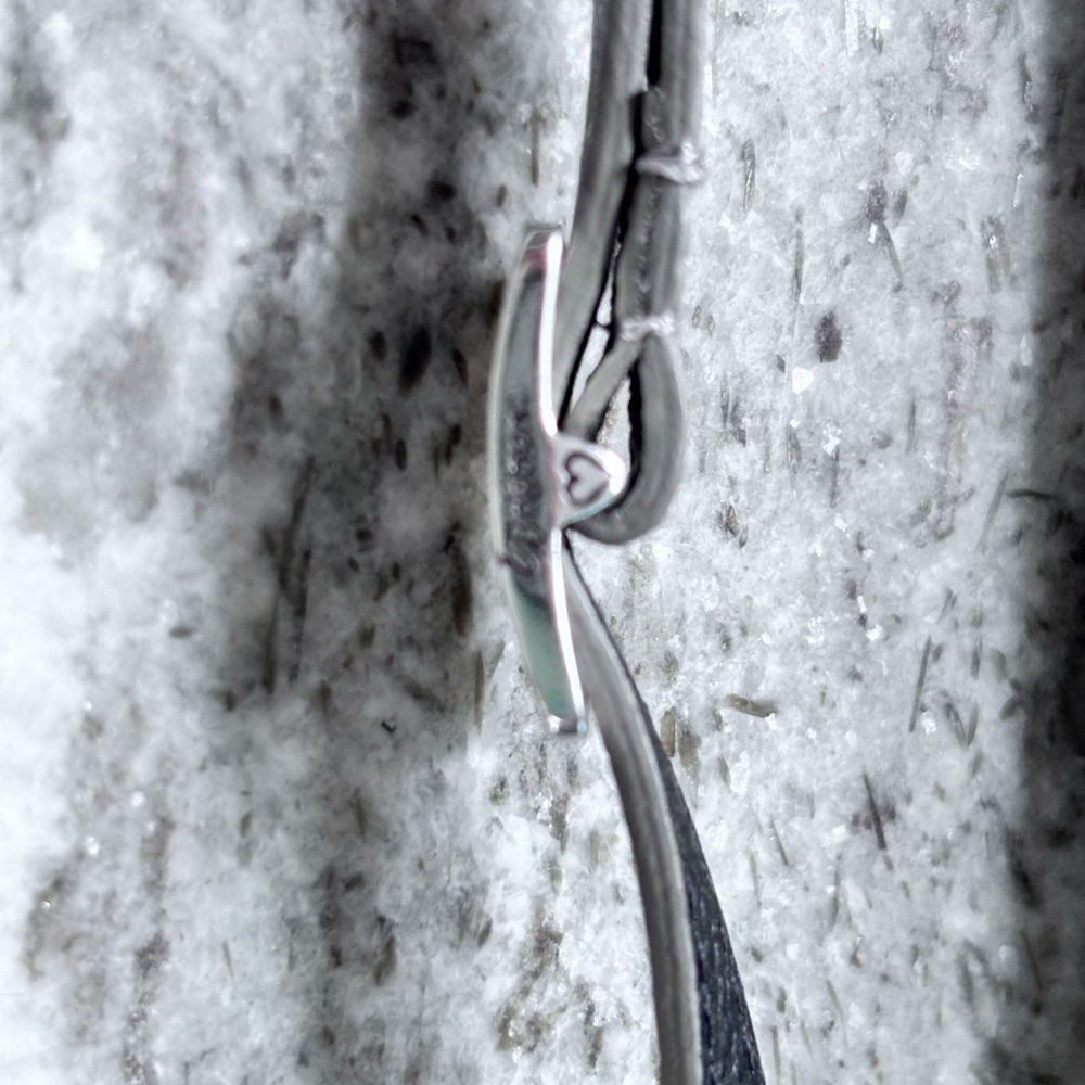 Brighton Paris Survival Guide Silver Crossbody Bag with Illustrated Front Panel - Picture 2 of 7